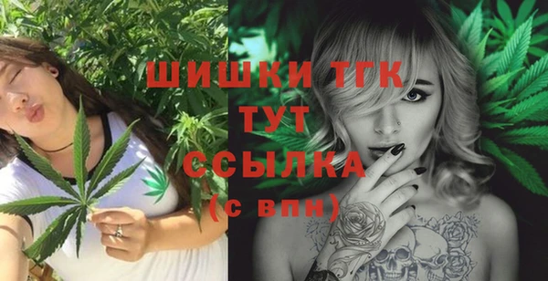 гидра Нея