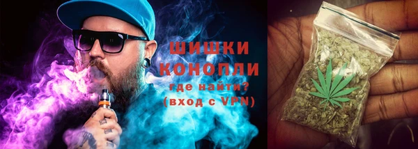 гидра Нея