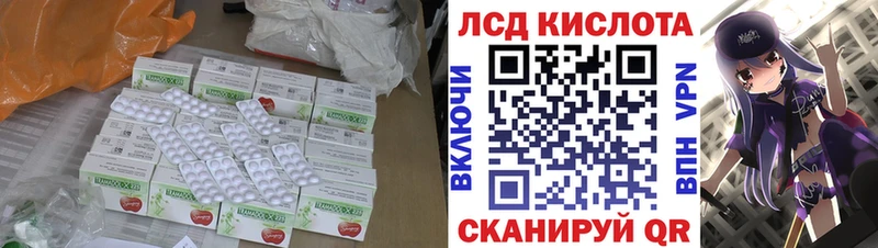 дарнет шоп  Правдинск  ЛСД экстази ecstasy 