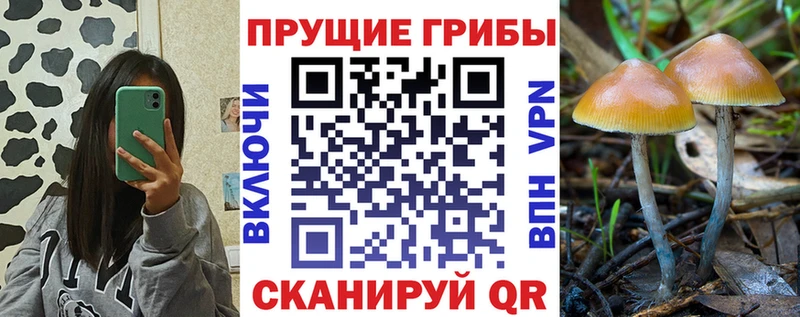 магазин продажи мега зеркало Псилоцибиновые грибы ЛСД Правдинск